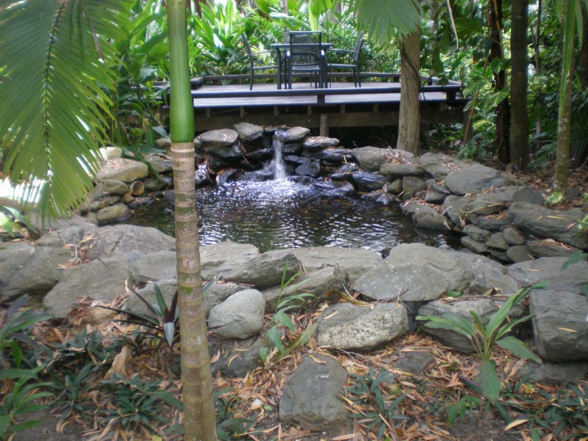 Ferienwohnung Hidden Gem @ Palm Cove Exterior foto